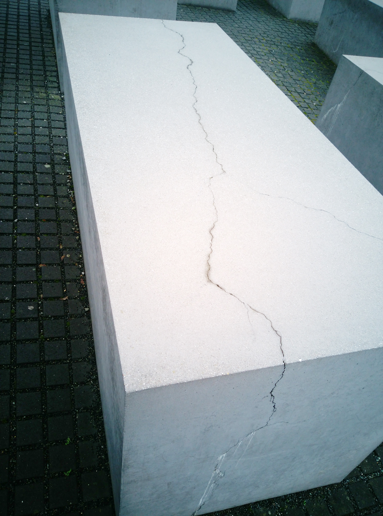Riss_Sanierung_Bsp1